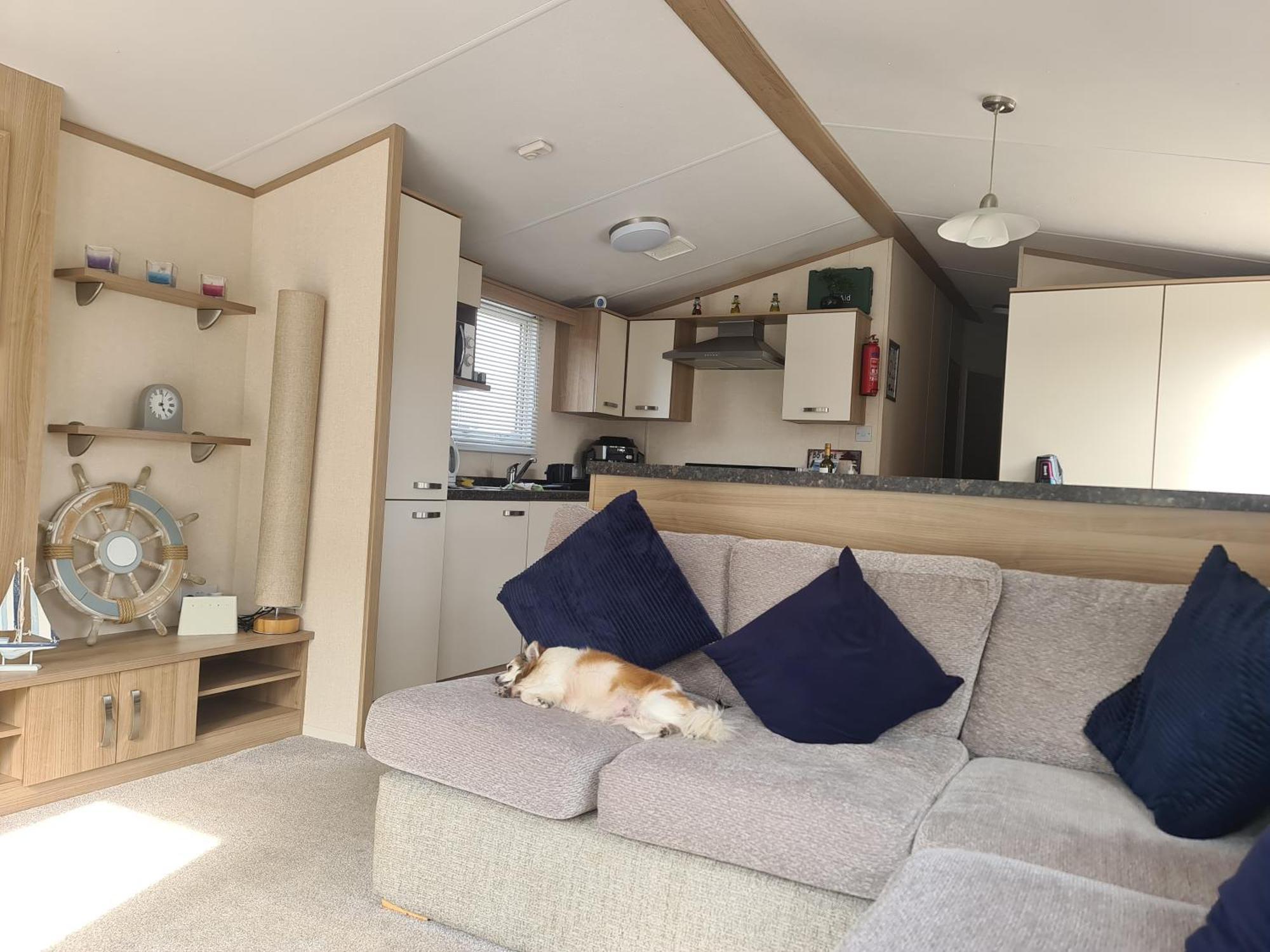 Campsite Fern Lets Presents Ruby Felton (Northumberland)